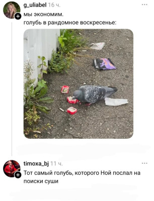 IMG_20260915_072218_853.jpg