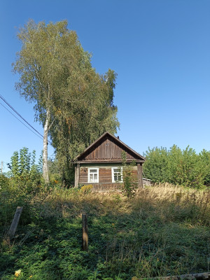 IMG20260910134723.jpg