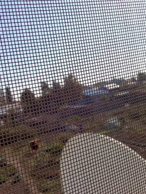 IMG_20260929_130620.jpg