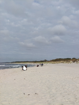 IMG20261007143447.jpg