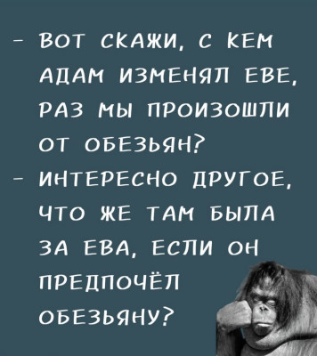 55f766adf382c3f0594d314729dacb5c.jpg